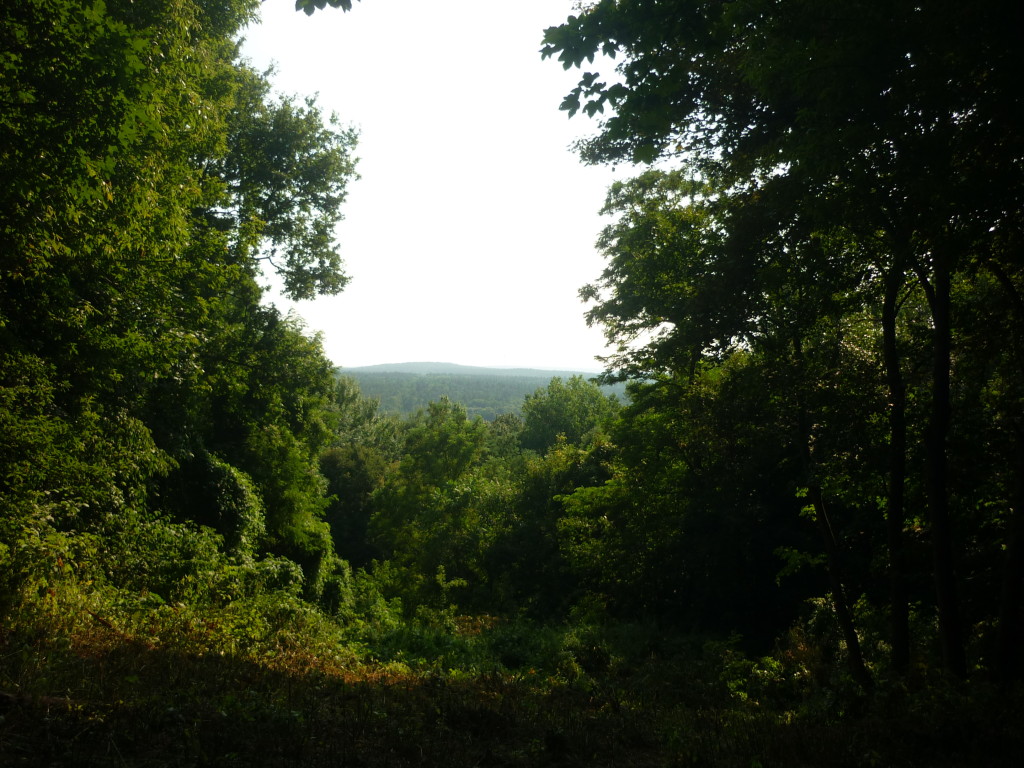 foret