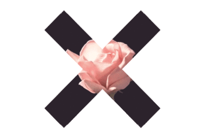 the xx