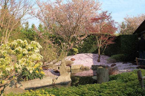 jardins du monde - Jardin japonais