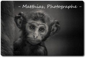 matthias-photographe