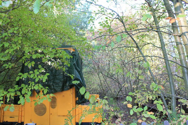 train nature