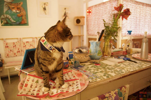 pee pees katzencafe berlin